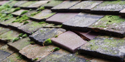 Eastertown roof repair costs